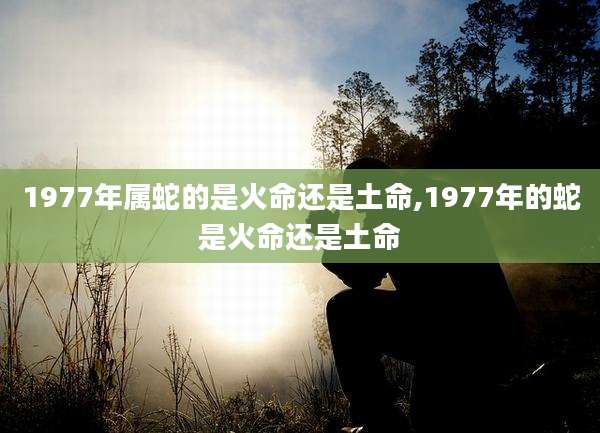 1977年属蛇的是火命还是土命,1977年的蛇是火命还是土命