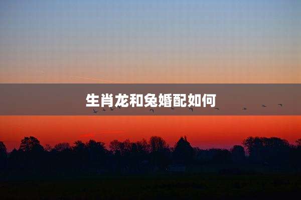 生肖龙和兔婚配如何