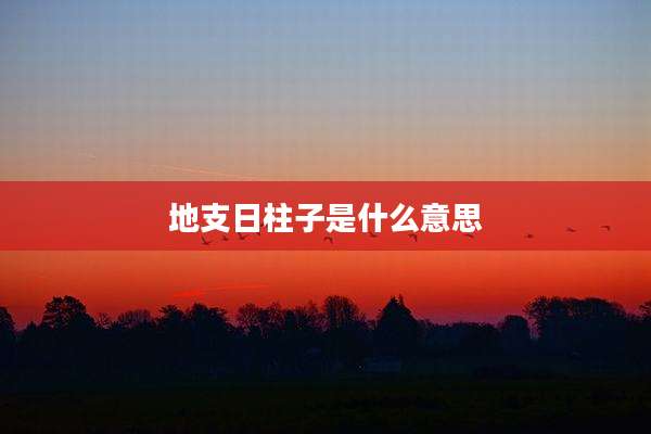 地支日柱子是什么意思