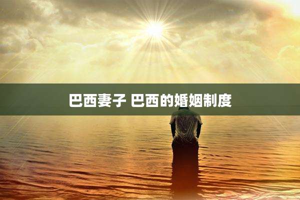 巴西妻子 巴西的婚姻制度