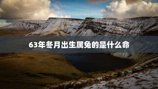 63年冬月出生属兔的是什么命