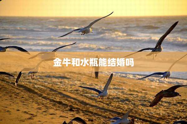 金牛和水瓶能结婚吗