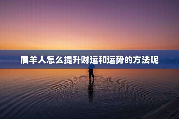 属羊人怎么提升财运和运势的方法呢