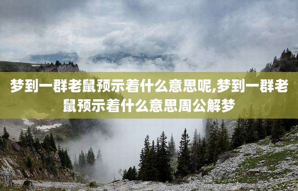 梦到一群老鼠预示着什么意思呢,梦到一群老鼠预示着什么意思周公解梦