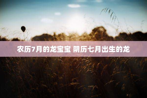 农历7月的龙宝宝 阴历七月出生的龙