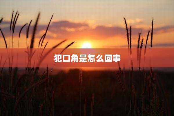 犯口角是怎么回事