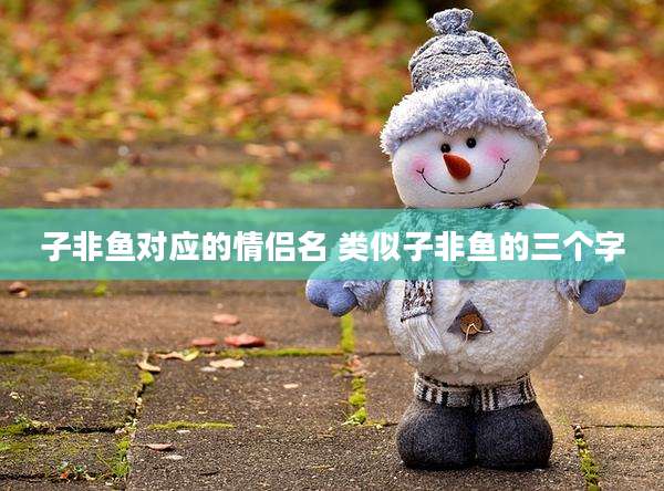 子非鱼对应的情侣名 类似子非鱼的三个字