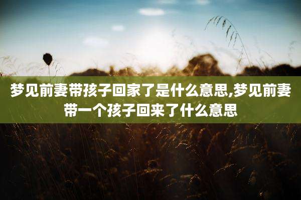 梦见前妻带孩子回家了是什么意思,梦见前妻带一个孩子回来了什么意思