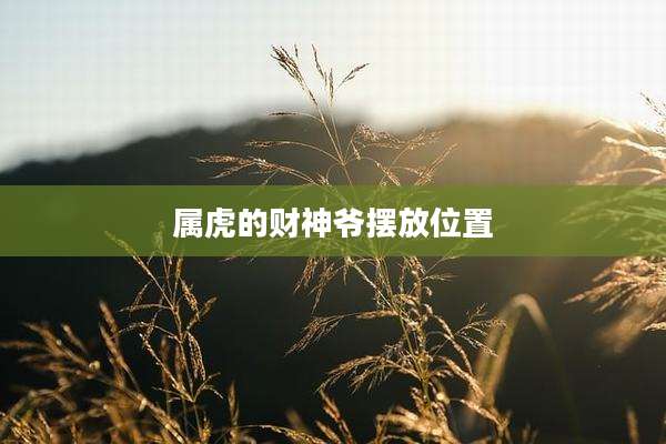 属虎的财神爷摆放位置