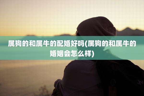 属狗的和属牛的配婚好吗(属狗的和属牛的婚姻会怎么样)