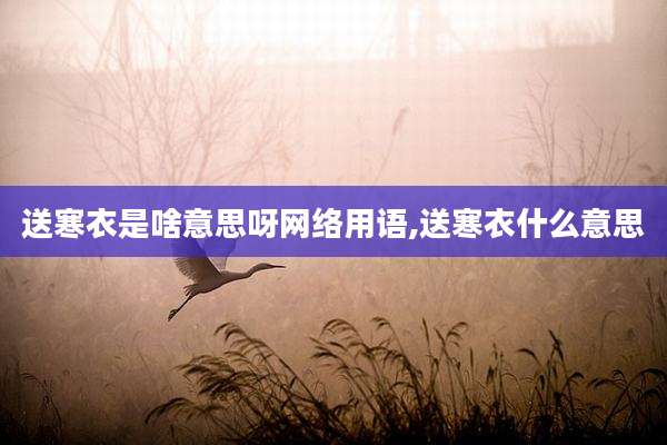 送寒衣是啥意思呀网络用语,送寒衣什么意思