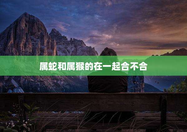 属蛇和属猴的在一起合不合