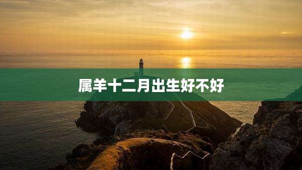 属羊十二月出生好不好