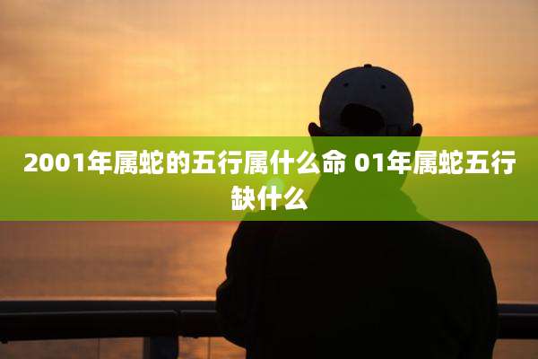 2001年属蛇的五行属什么命 01年属蛇五行缺什么