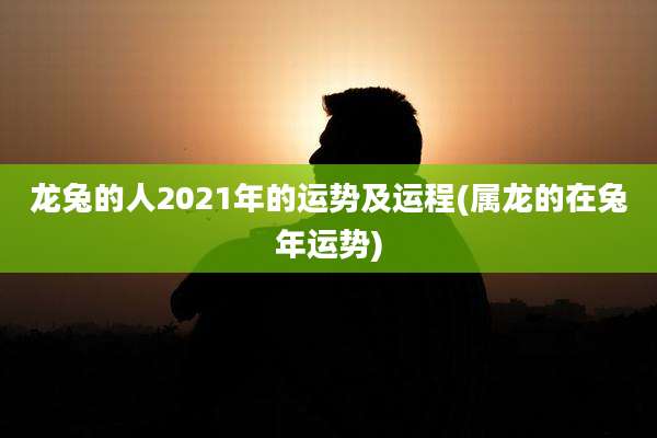 龙兔的人2021年的运势及运程(属龙的在兔年运势)