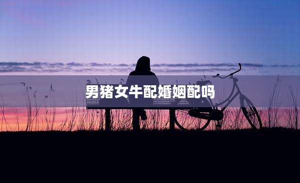 男猪女牛配婚姻配吗
