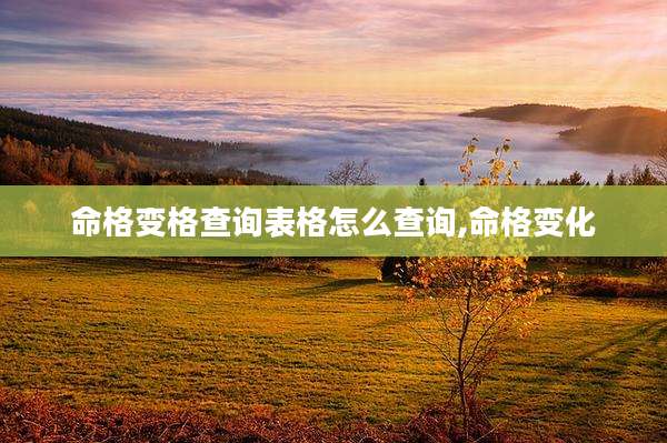 命格变格查询表格怎么查询,命格变化