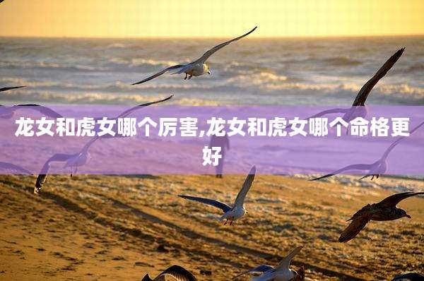 龙女和虎女哪个厉害,龙女和虎女哪个命格更好