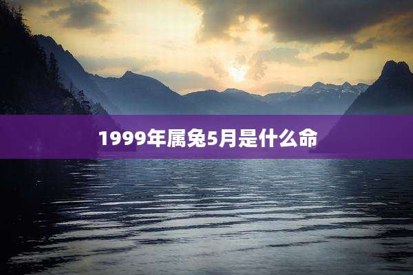 1999年属兔5月是什么命