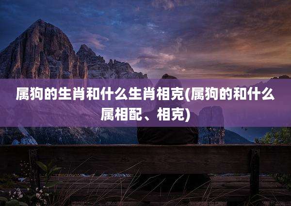 属狗的生肖和什么生肖相克(属狗的和什么属相配、相克)