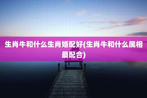 生肖牛和什么生肖婚配好(生肖牛和什么属相最配合)