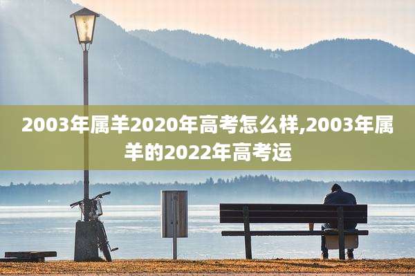 2003年属羊2020年高考怎么样,2003年属羊的2022年高考运