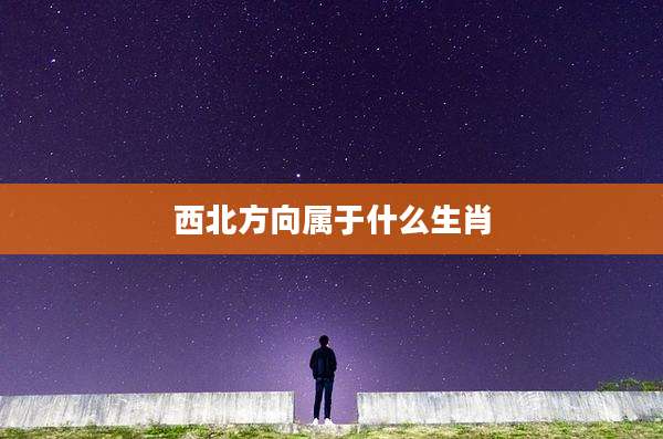 西北方向属于什么生肖