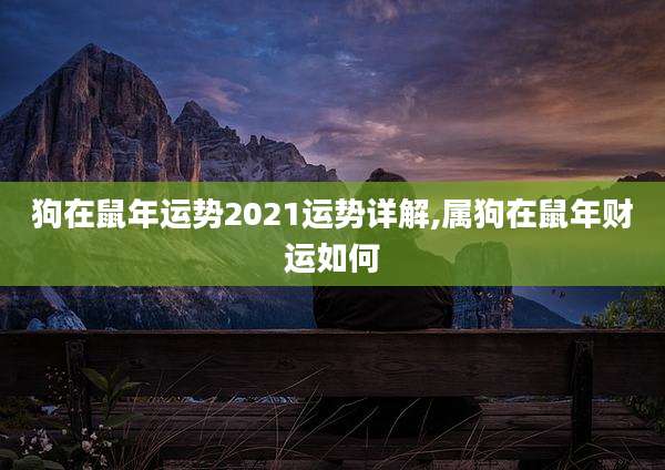 狗在鼠年运势2021运势详解,属狗在鼠年财运如何
