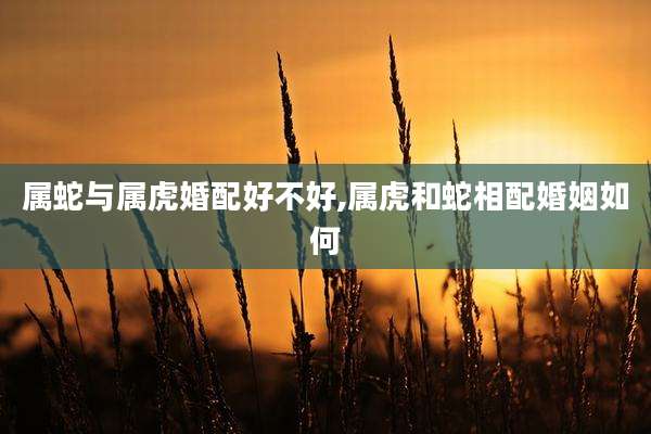 属蛇与属虎婚配好不好,属虎和蛇相配婚姻如何