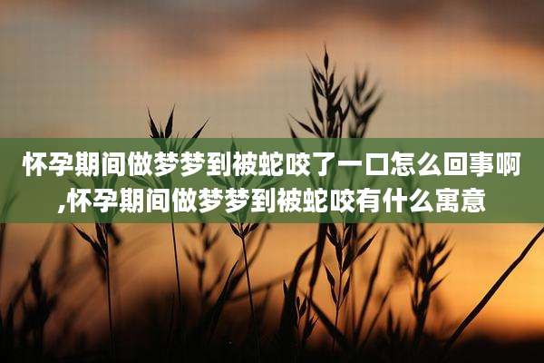 怀孕期间做梦梦到被蛇咬了一口怎么回事啊,怀孕期间做梦梦到被蛇咬有什么寓意