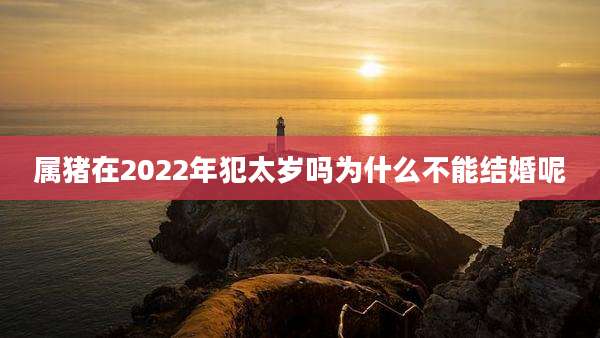 属猪在2022年犯太岁吗为什么不能结婚呢