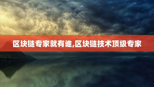 区块链专家就有谁,区块链技术顶级专家