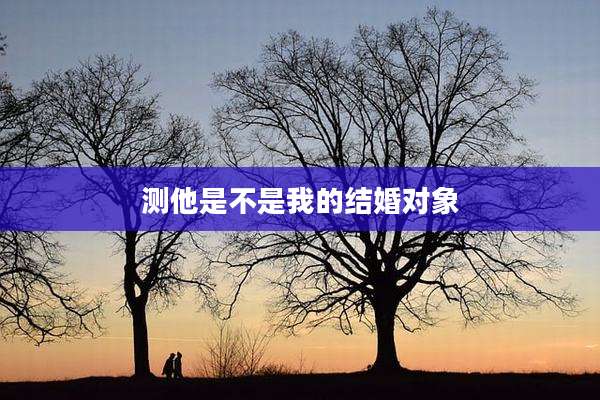 测他是不是我的结婚对象