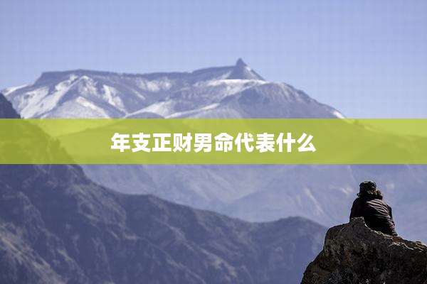 年支正财男命代表什么