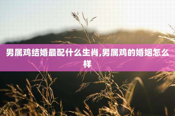 男属鸡结婚最配什么生肖,男属鸡的婚姻怎么样