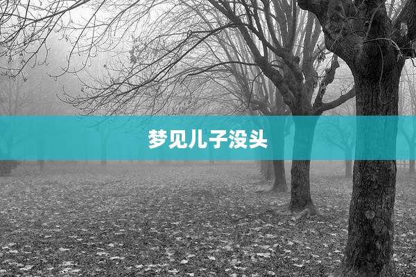 梦见儿子没头