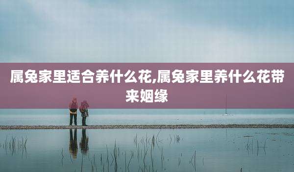 属兔家里适合养什么花,属兔家里养什么花带来姻缘