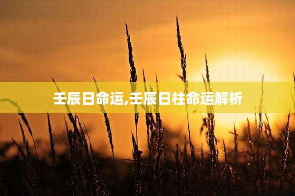 壬辰日命运,壬辰日柱命运解析