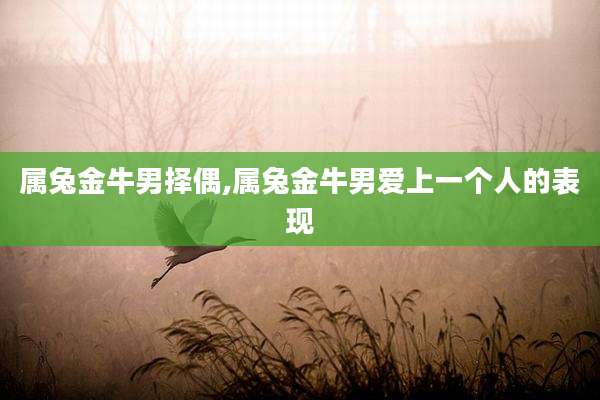 属兔金牛男择偶,属兔金牛男爱上一个人的表现