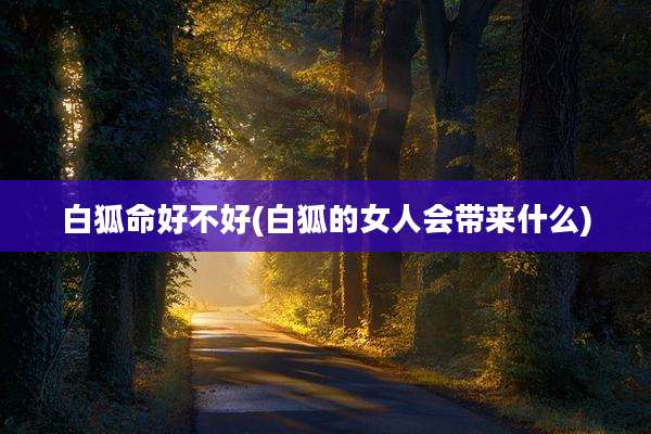 白狐命好不好(白狐的女人会带来什么)