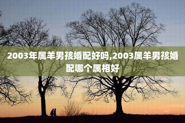 2003年属羊男孩婚配好吗,2003属羊男孩婚配哪个属相好