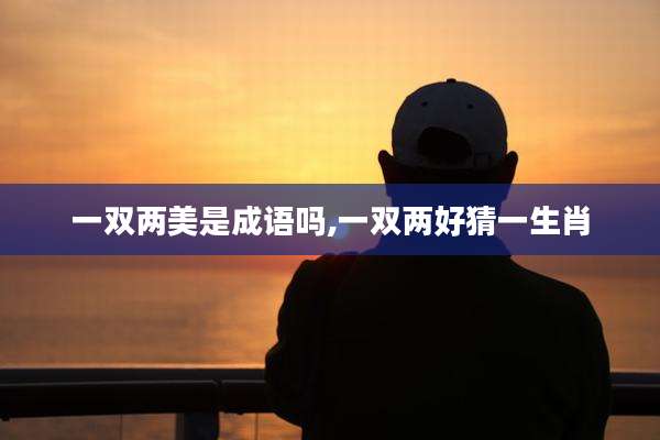 一双两美是成语吗,一双两好猜一生肖