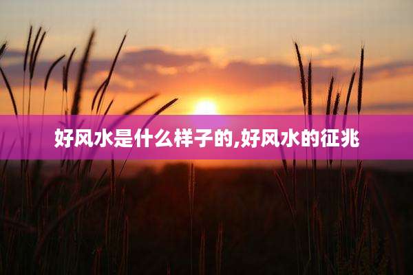 好风水是什么样子的,好风水的征兆