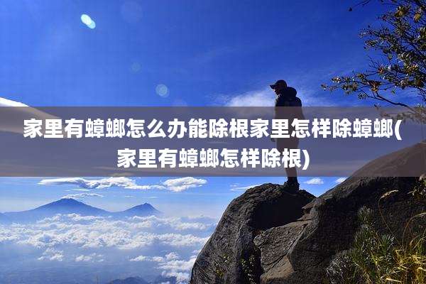 家里有蟑螂怎么办能除根家里怎样除蟑螂(家里有蟑螂怎样除根)