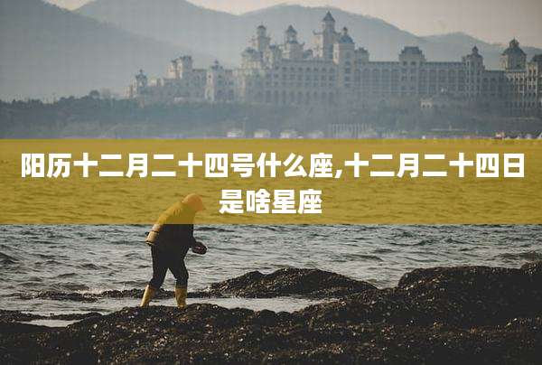 阳历十二月二十四号什么座,十二月二十四日是啥星座