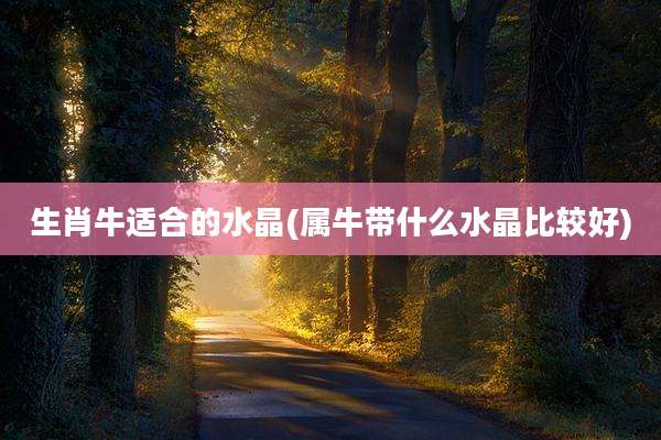 生肖牛适合的水晶(属牛带什么水晶比较好)