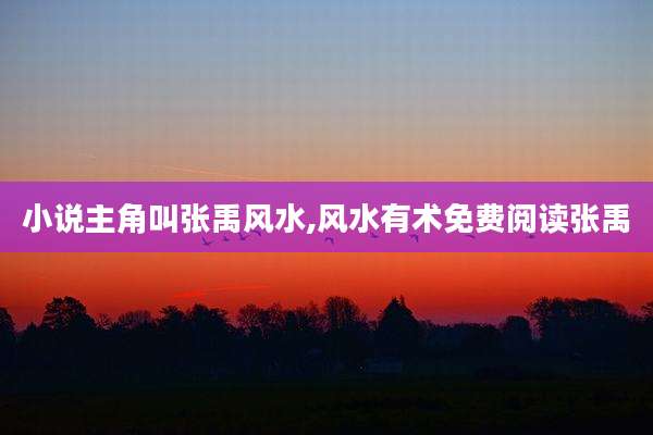 小说主角叫张禹风水,风水有术免费阅读张禹