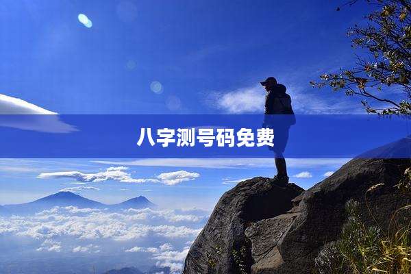 八字测号码免费