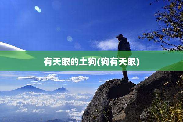 有天眼的土狗(狗有天眼)