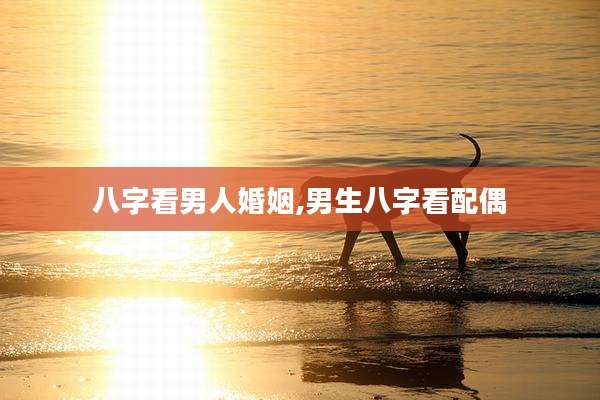 八字看男人婚姻,男生八字看配偶